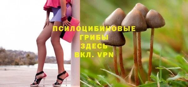 эйфоретик Балахна