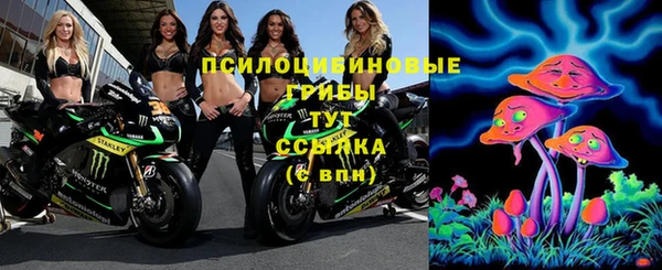 эйфоретик Балахна